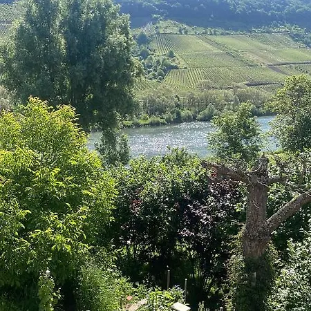 Fm Moselle Apartmán *